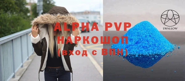 стаф Инта