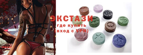 стаф Инта