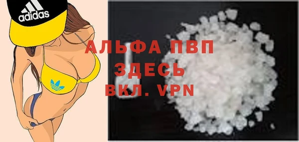 стаф Инта