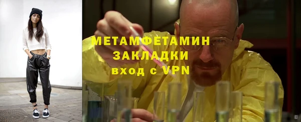 стаф Инта