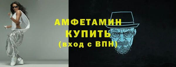 стаф Инта