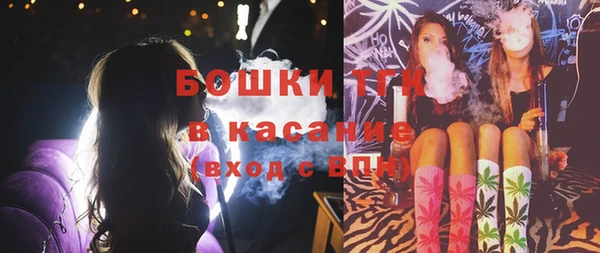 стаф Инта