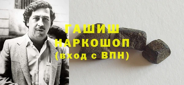 стаф Инта